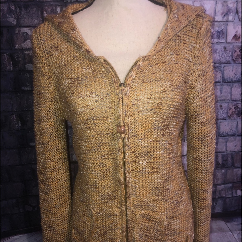 BCBG MaxAzria Hooded Sweater